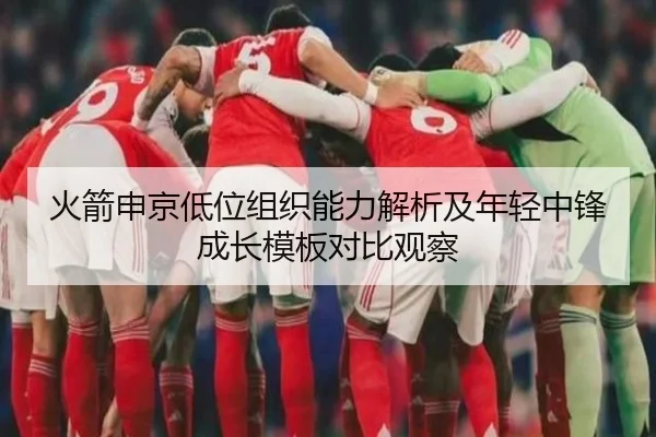 火箭申京低位组织能力解析及年轻中锋成长模板对比观察
