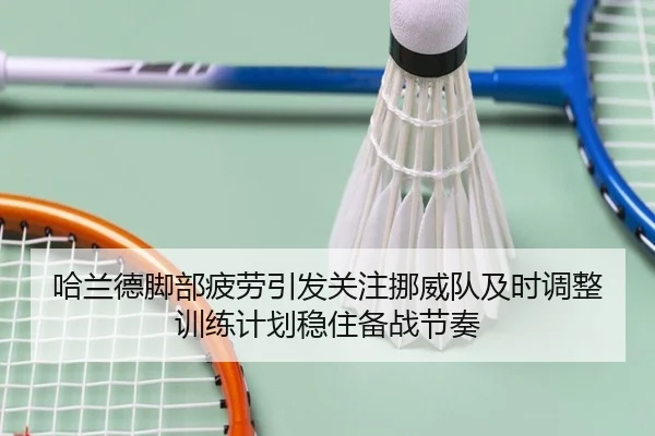 哈兰德脚部疲劳引发关注挪威队及时调整训练计划稳住备战节奏